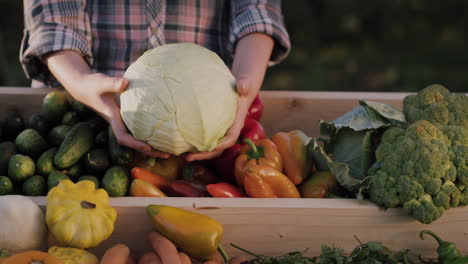 A-female-farmer-holds-a-cabbage-head-above-the-counter-at-farmer's-market