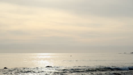 Tranquilas-Aguas-Oceánicas-A-La-Hora-Dorada-Con-Un-Surfista-Solitario-Aprendiendo-En-La-Playa-Big-Rock-De-Malibu-California