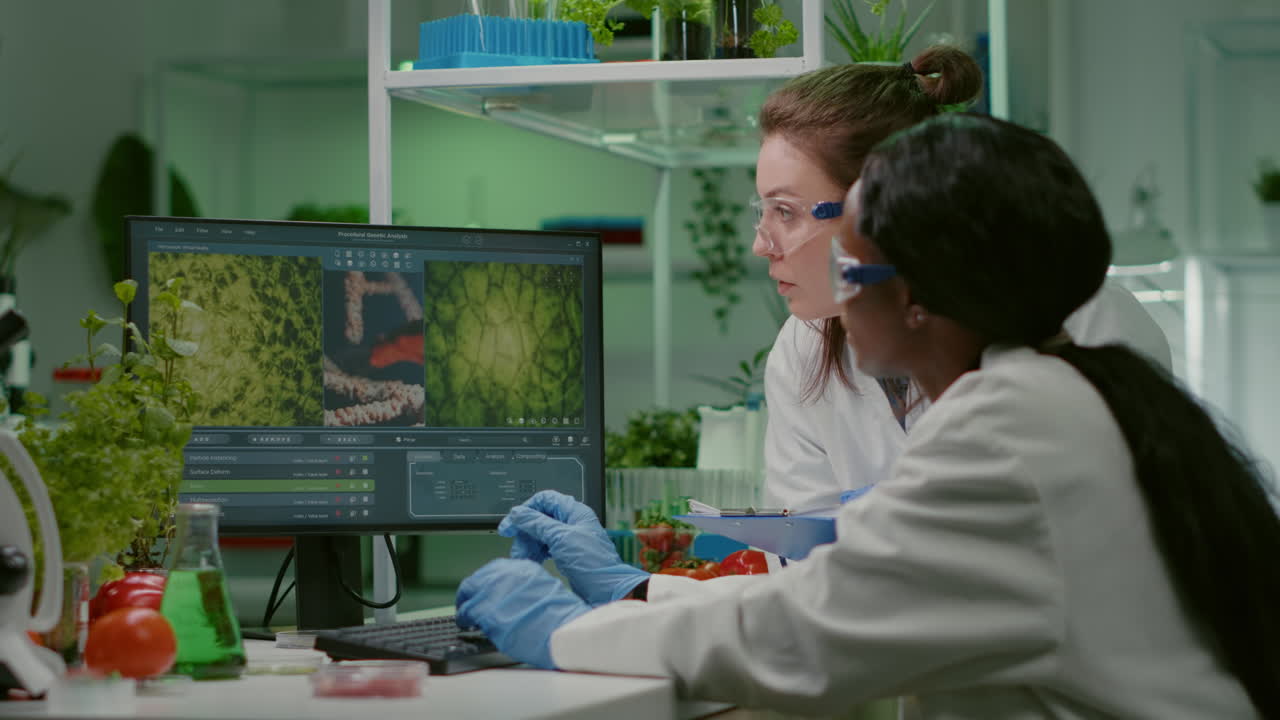 Collegues checking medical expertise on computer researching for gmo meat sample