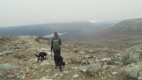 person and dogs walk in rugged environment in slow motion