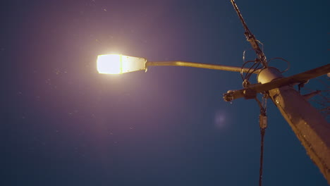 utility pole with intertwined wires and connectors silhouetted against a deep blue dusk sky with snowflakes flying, with partial view of bare tree branches