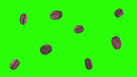 realistic coffee beans animation graphic element on green screen chroma key