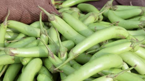 Frische-Bio-Auberginen-Vom-Bauernhof-Aus-Nächster-Nähe-Aus-Verschiedenen-Blickwinkeln