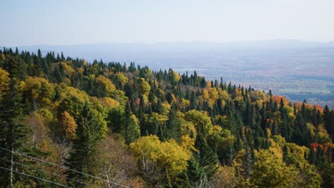 Cinematic-rising-view-of-fall-leaves-changing-colors-in-the-forest-on-a-mountain