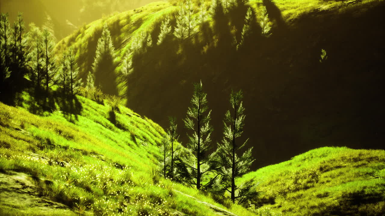Lush green hillside with tall trees under bright sunlight in serene setting