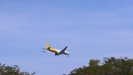 commercial airplane descends behind tree line.