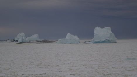 Iceberg-and-icefield