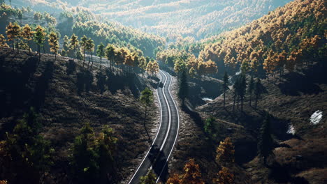 Beautiful-landscape-of-a-golden-yellow-and-green-forest