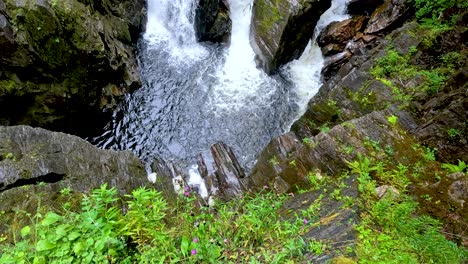 el agua en cascada sobre las rocas y la vegetación exuberante