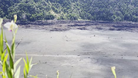 Cinematic-long-lens-booming-up-shot-of-the-dry-lava-lake-bed-from-an-overlook-on-the-Kilauea-Iki-trail-in-Hawai'i-Volcanoes-National-Park