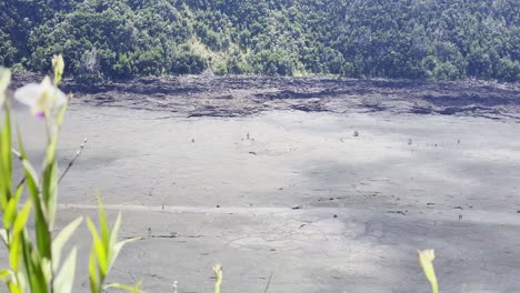 하와이 화산 국립 공원의 킬라우에아 이키 트레일의 전망에서 건조한 용암 호수 바닥의 촬영