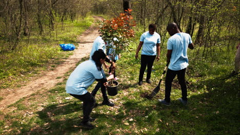 drone shot of volunteers group planting trees and preserving nature