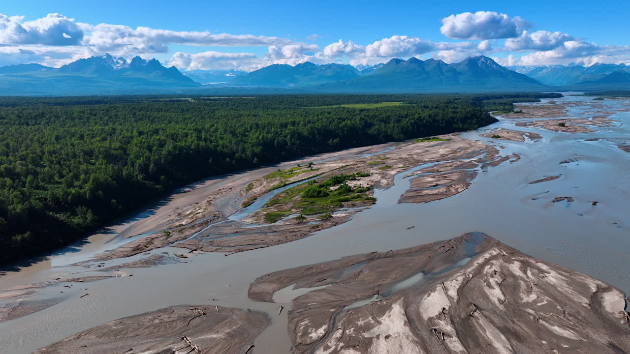 Braided River Delta Contrasting with Dense Alaskan Forest. An impressive aerial perspective captures a wide, silty braided glacial river delta contrasting with the dark green