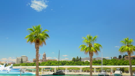 Palm-trees-with-a-bright-blue-sky-and-cityscape-of-Malaga-Cathedral-in-the-background