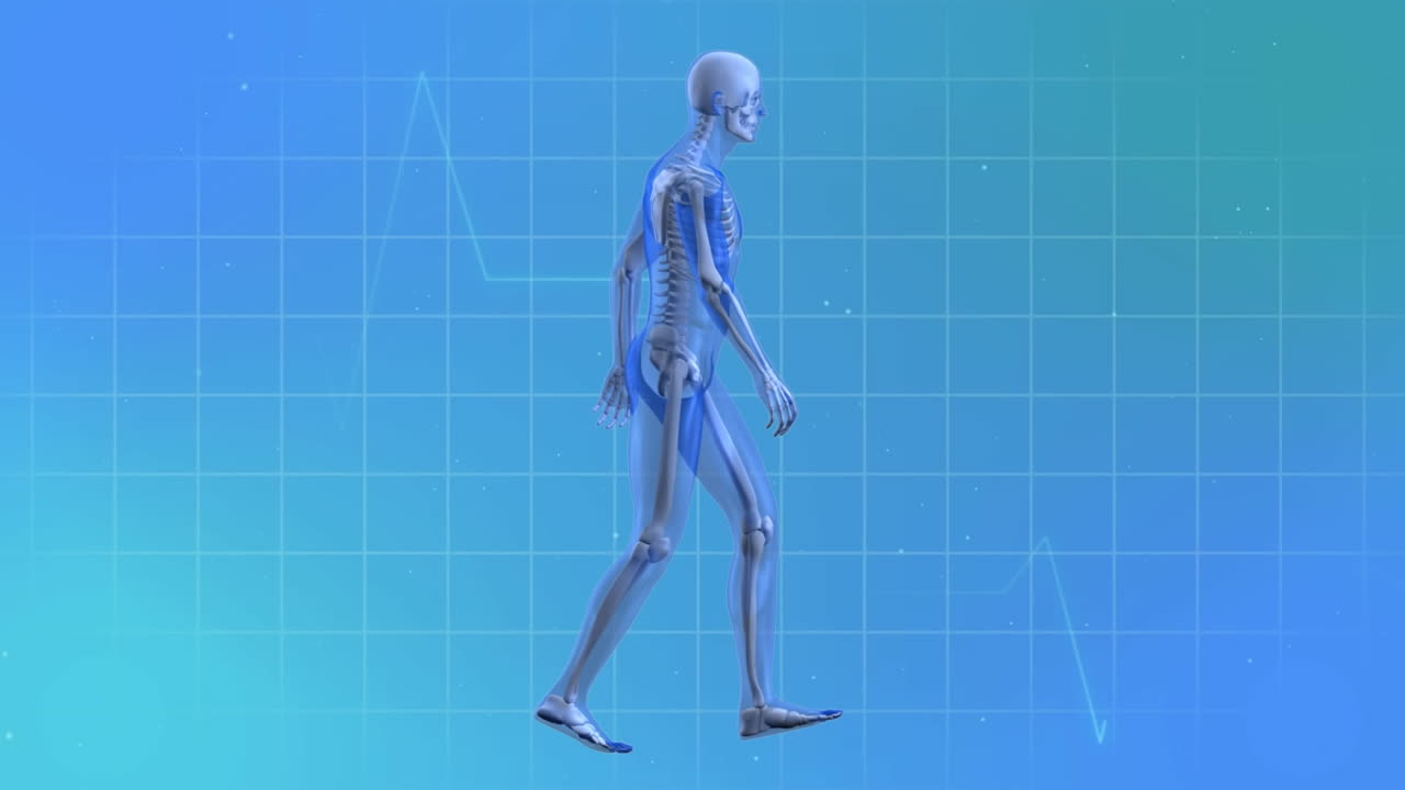 파란색 배경에 심장 사진과 는 골격의 애니메이션