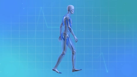animación de cardiógrafo y esqueleto caminante sobre fondo azul