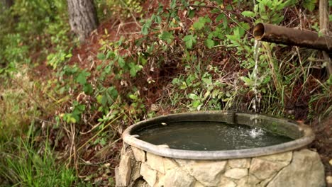 Fließender-Wasserzapfhahn-In-Der-Natur