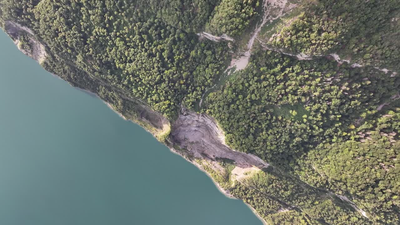 aérea - costa del lago walensee con densos bosques en suiza