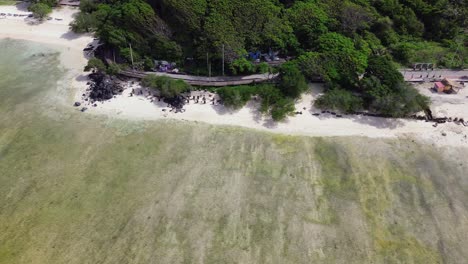 drone pans left over tropical beach showing lush greenery and white sand in gili trawangan