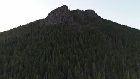 evergreen forest mountain in the pacific northwest