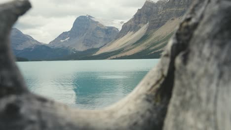 A-scenic-shot-of-the-calm-and-peaceful-landscape-of-Bow-Lake-in-Banff-National-Park-in-Canada