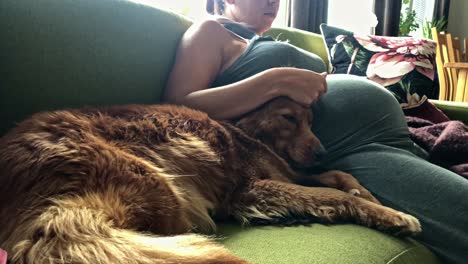 chica embarazada relajándose en un sofá acogedor acariciando a un perro mascota con afecto