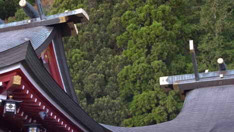 árboles ondeando detrás del santuario japonés típico
