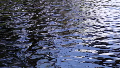 los reflejos crean patrones en el agua