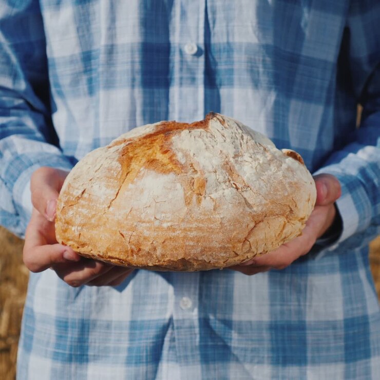 Farmer holds a loaf of bread in a wheat field 3