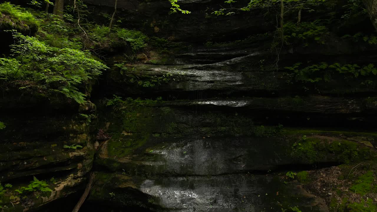A shot panning up a lush canyon wall with water trickling down. Moss and ferns can be seen growing on the canyon walls, and the water trickling down is rippling the still pool at the foot of the wall.