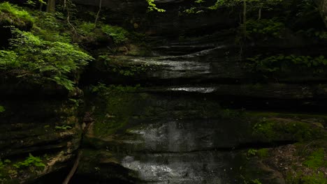 a shot panning up a lush canyon wall with water trickling down. moss and ferns can be seen growing on the canyon walls, and the water trickling down is rippling the still pool at the foot of the wall.