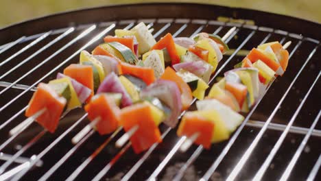 Healthy-colorful-kebabs-with-fresh-vegetables