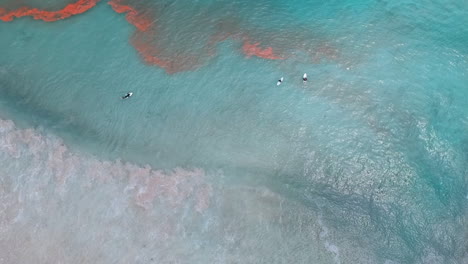 vista de arriba hacia abajo del océano turquesa con surfistas disfrutando de las olas - toma aérea de drones