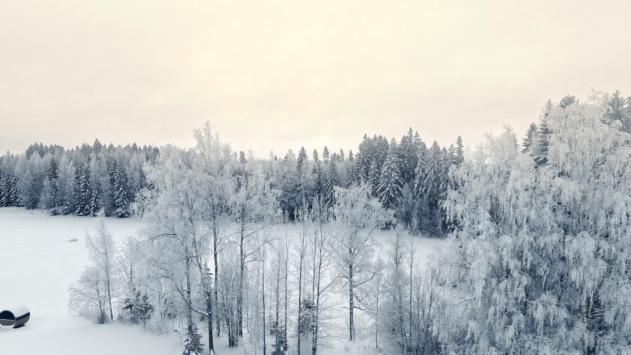 Panorerende luftfoto over et borealt vinterlandskap, med frosne tretopper på en hvit, uberørt eng.