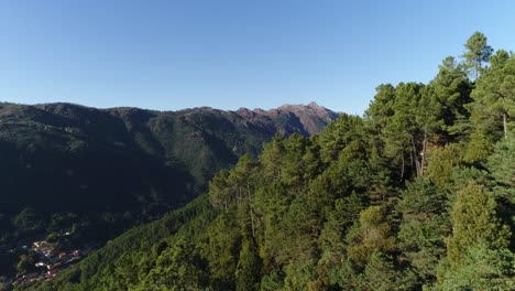 Bosque-De-Montaña-De-Verano,-Aventura-Al-Aire-Libre