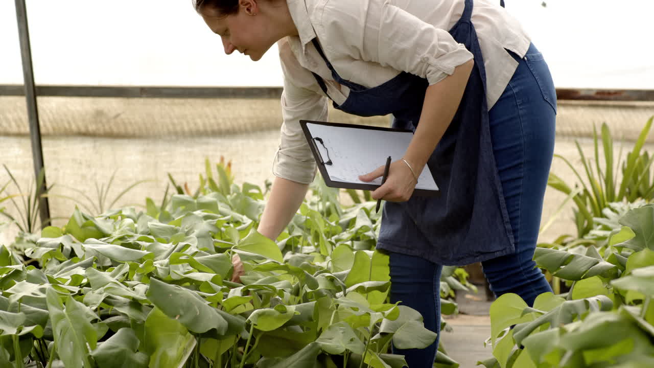 Woman in apron writing on clipboard, focusing on work in greenhouse