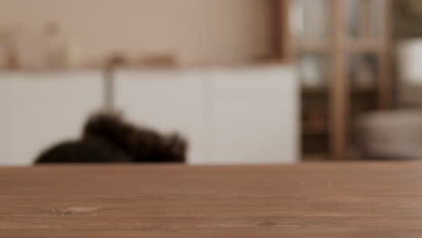 persona que observa y toma el huevo giratorio