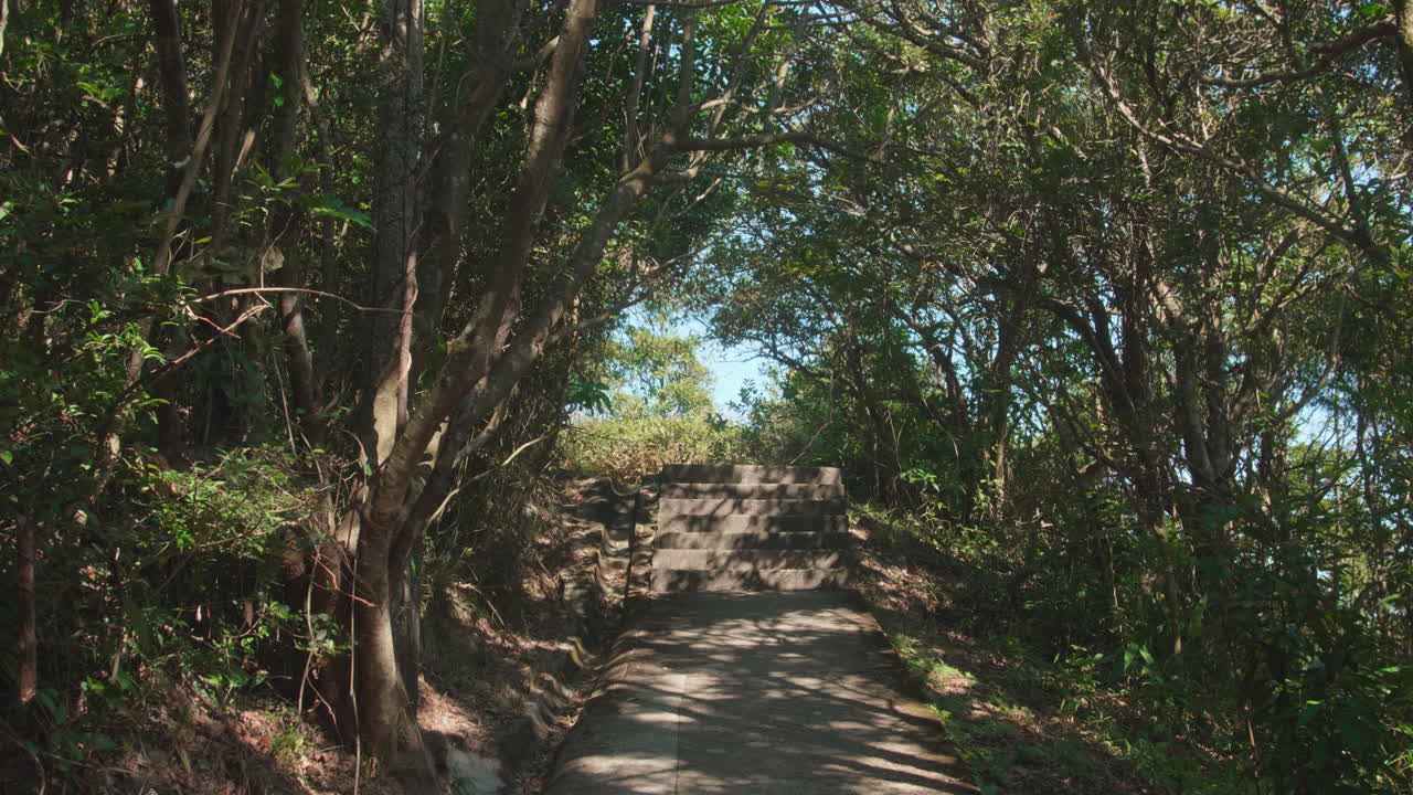 Steady cam shot front forward. Beautiful luxurious nature with sunshines through the leaves. Path towards Victoria Peak in Hong Kong. Cinematic high dynamic range shot.
