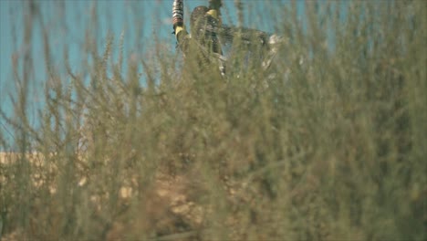 gypsy woman waving her hands and dancing behind a desert grass