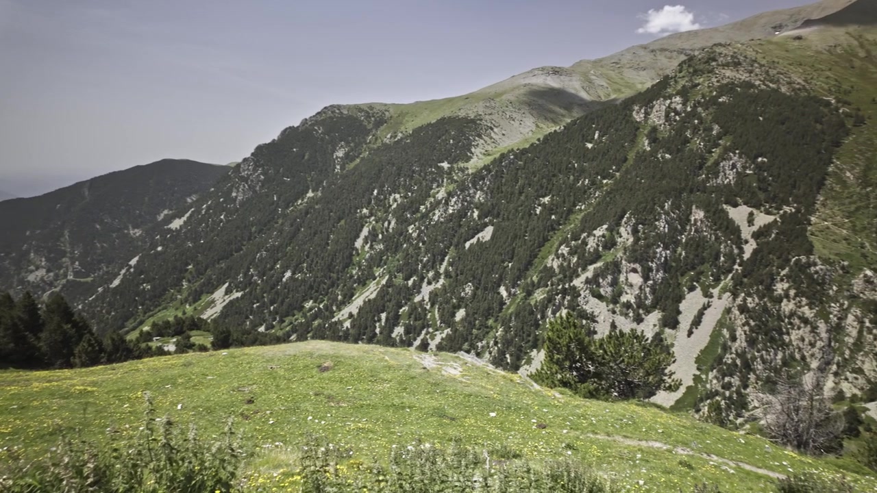 Vall de Nuria'da çarpıcı dağ manzarası, berrak bir yaz gökyüzü altında çam ormanlarıyla yemyeşil bir vadiyi ortaya çıkarıyor. Popüler bir yürüyüş destinasyonu olan Katalan Pireneleri'nden doğal manzara