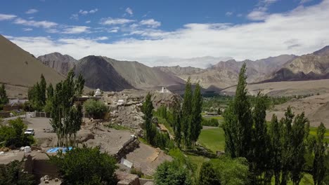 Flying-through-trees-in-the-Tibetan-Himalayan-landscape-of-Ladakh,-India