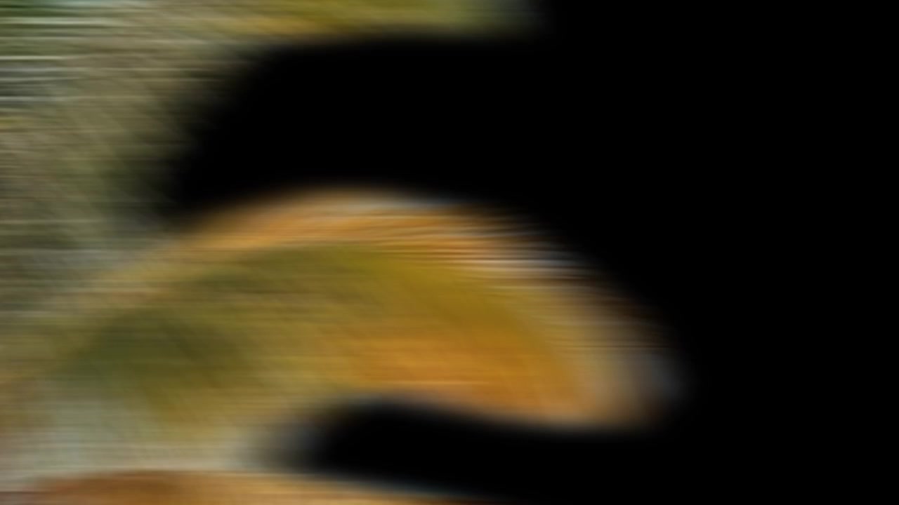 Blurred nature background