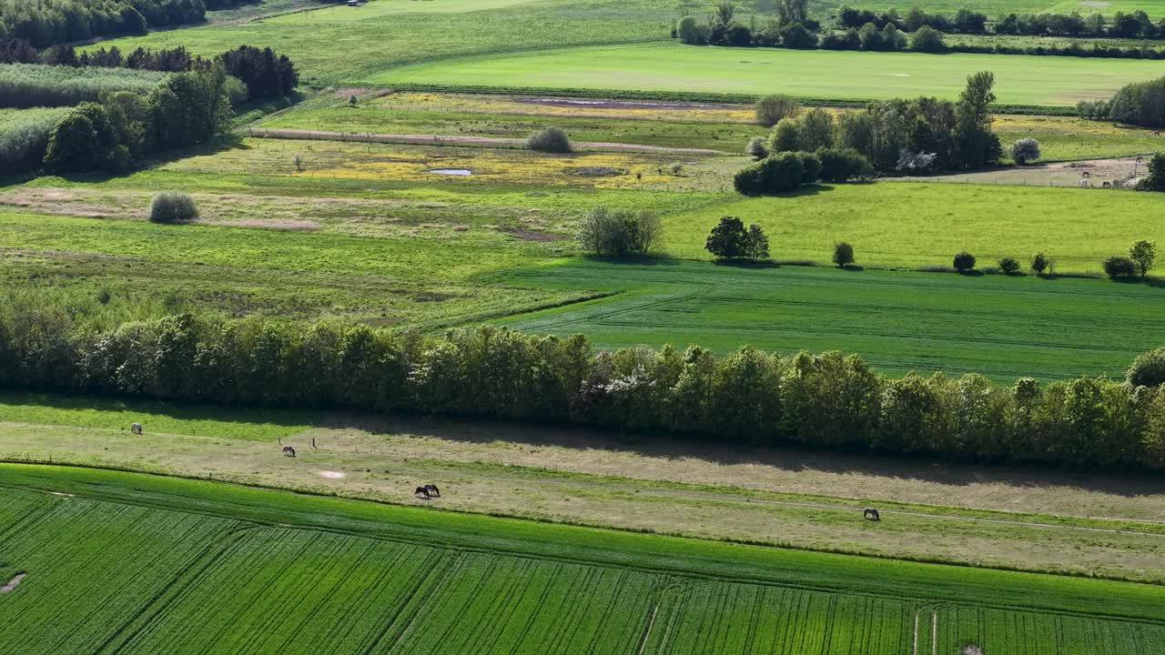 Aerial drone view of farmland fields and meadows bordered by green trees under daylight