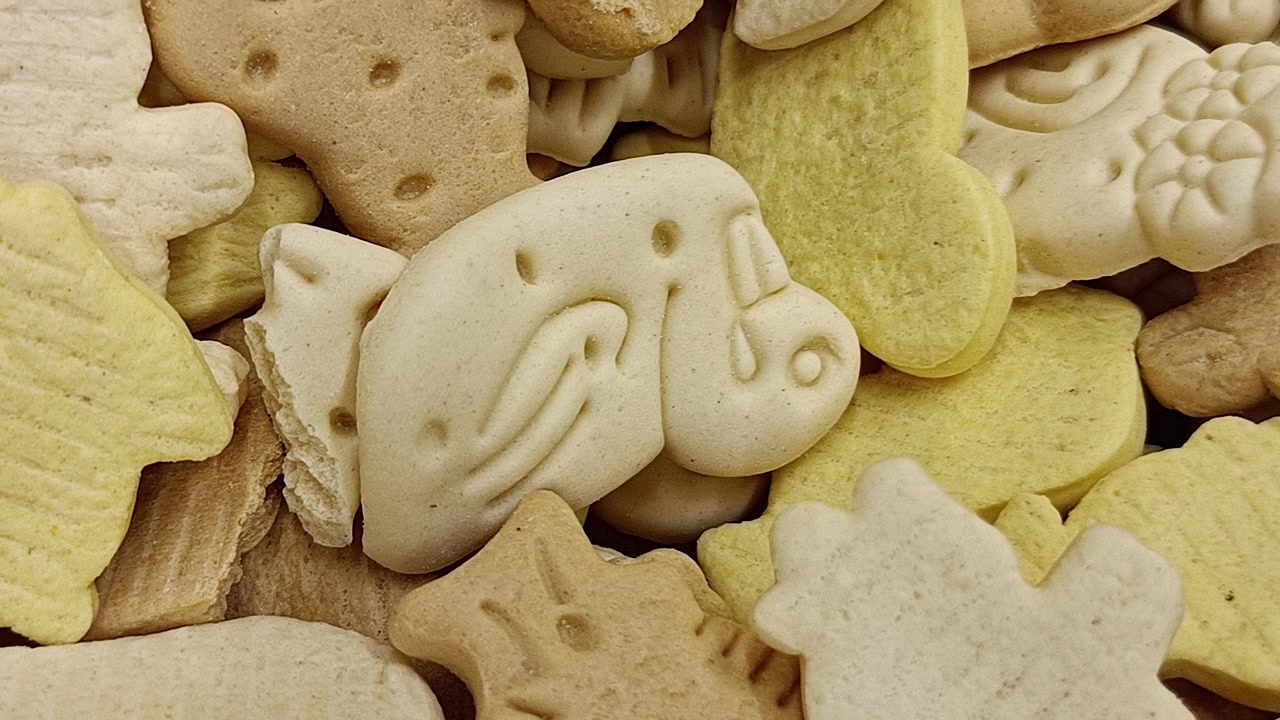 Primo piano di cibo secco per animali