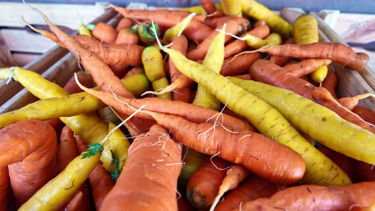 Slow forward close-up of colorful orange and yellow carrots piled in a wooden crate, showing natural textures and vibrant tones