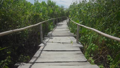 a wooden bridge amidst green vegetation with a revealing movement