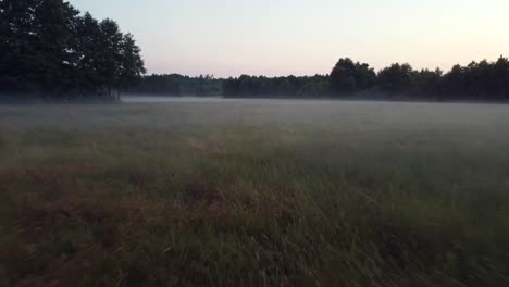 Dramatischer-Luftflug-Rückwärts-Fliegen-Drohnenschuss-Im-Morgennebel-über-Feldboden-Naturschutzgebiet-Müritz-Gesehen-Park-Mecklenburg-Brandenburg-Deutschland-Luftdrohnenansicht