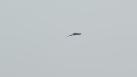 brilliant green winged macaw pair takes flight together, soaring high above peru’s tropical jungle in tambopata reserve.
