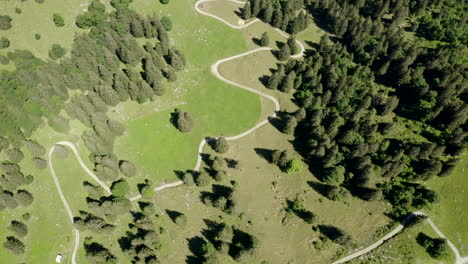 Camino-Sinuoso-Rodeado-Por-El-Prado-Verde-Y-El-Bosque-De-Abetos-Durante-El-Verano-Cerca-De-Montreux-riviera,-Vaud,-Suiza---Drone-Aéreo