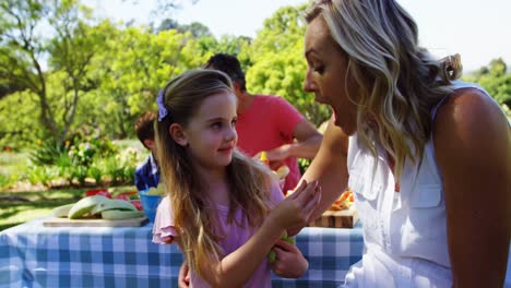 daughter feeding food to mother in park 4k